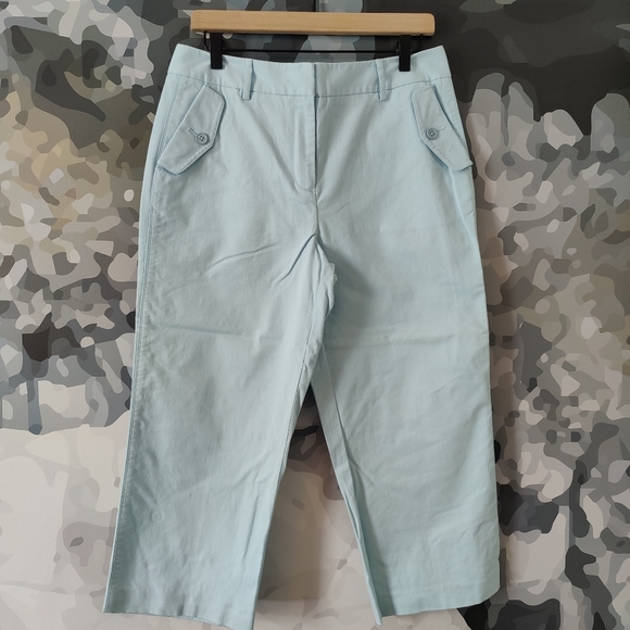 Talbots Stretch Cotton/Spandex Blend Sky Blue Ankle Pants - Size 10 - Picture 1 of 4